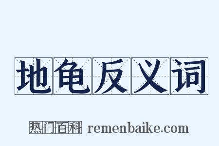 地龟反义词是什么意思的图片